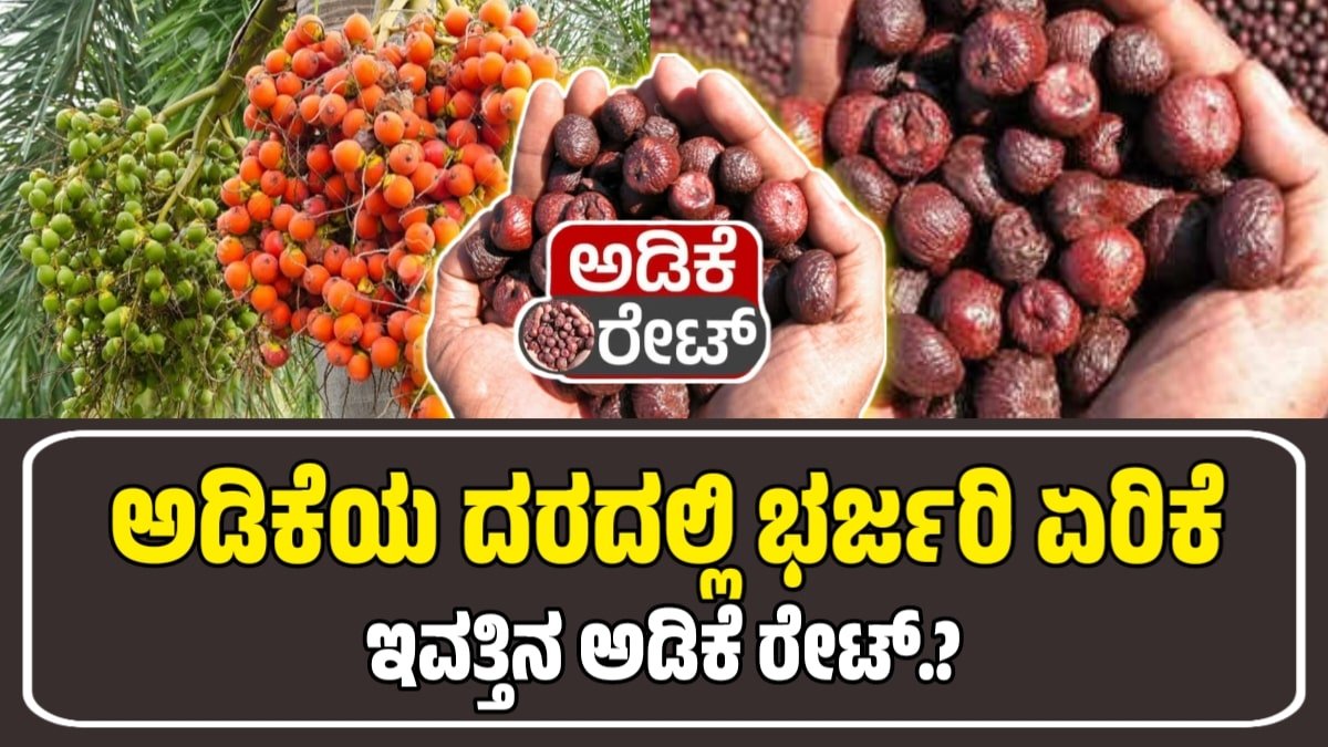 Today Adike Rate