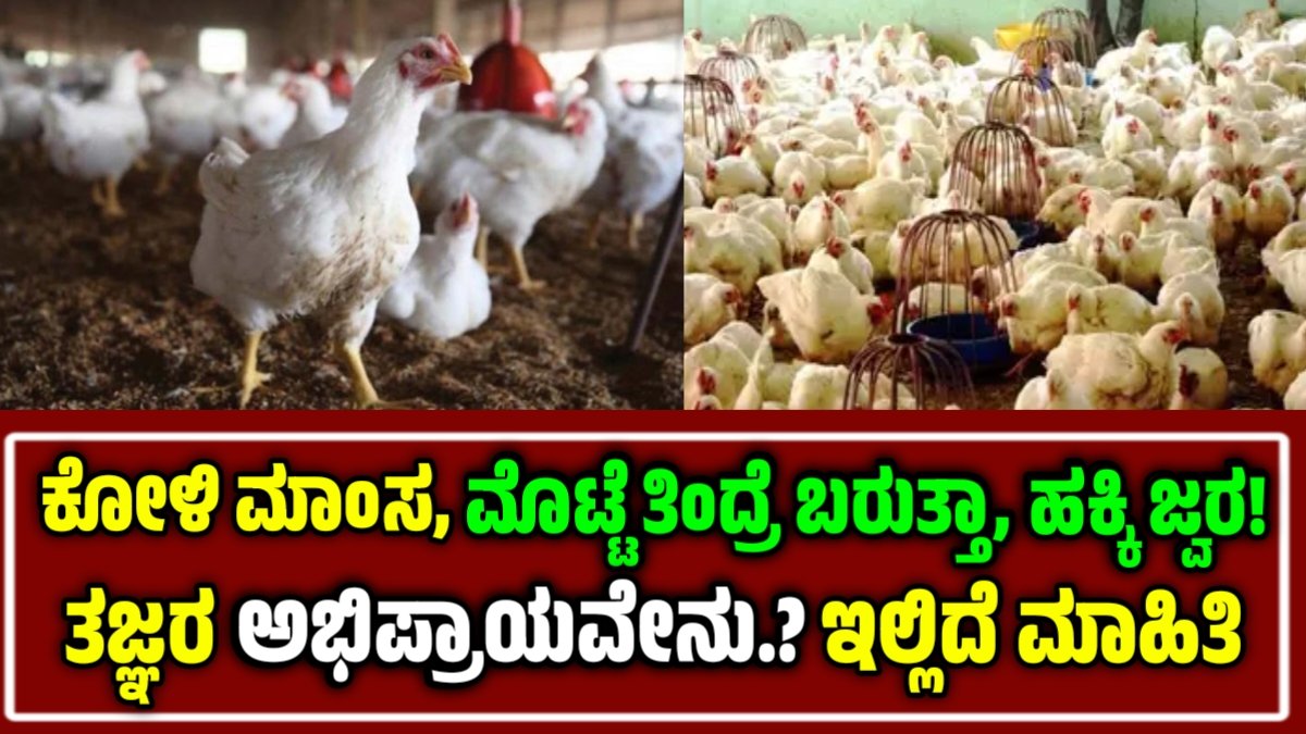 bird flu in Karnataka