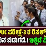 Karnataka 2nd PUC Exam 3 Result 2025
