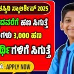 pm yashasvi scholarship 2025