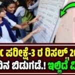 Karnataka SSLC Exam 3 Result 2025