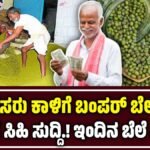 Mung bean Price