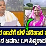 ಬೆಳೆ ಹಾನಿ ಪರಿಹಾರ