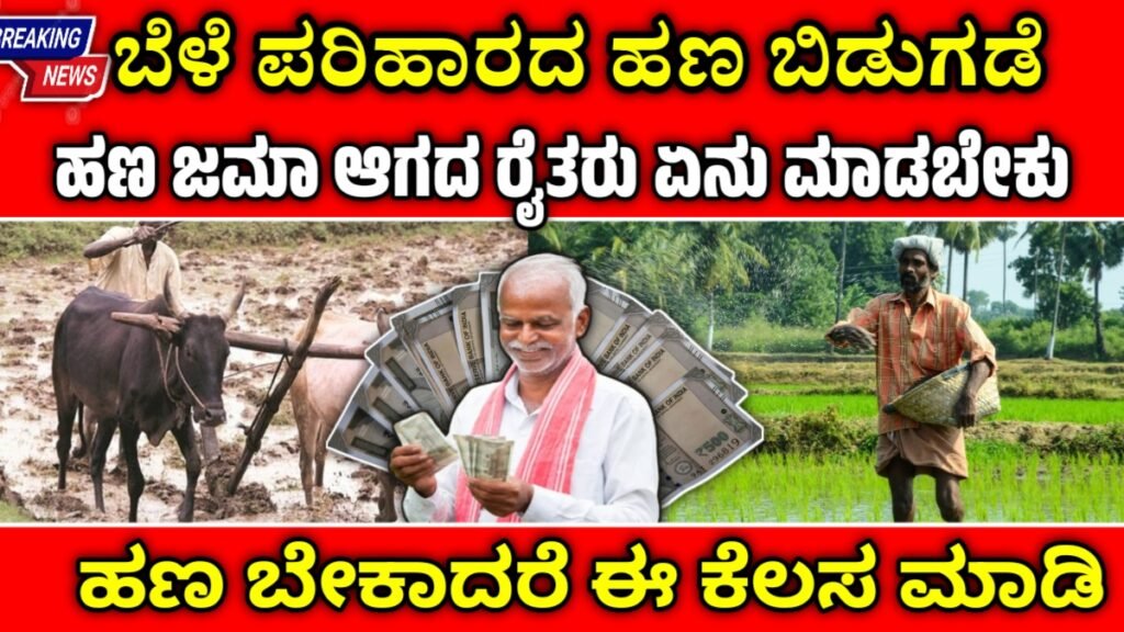 bele parihara 2025-26