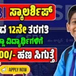 SBI scholarship money