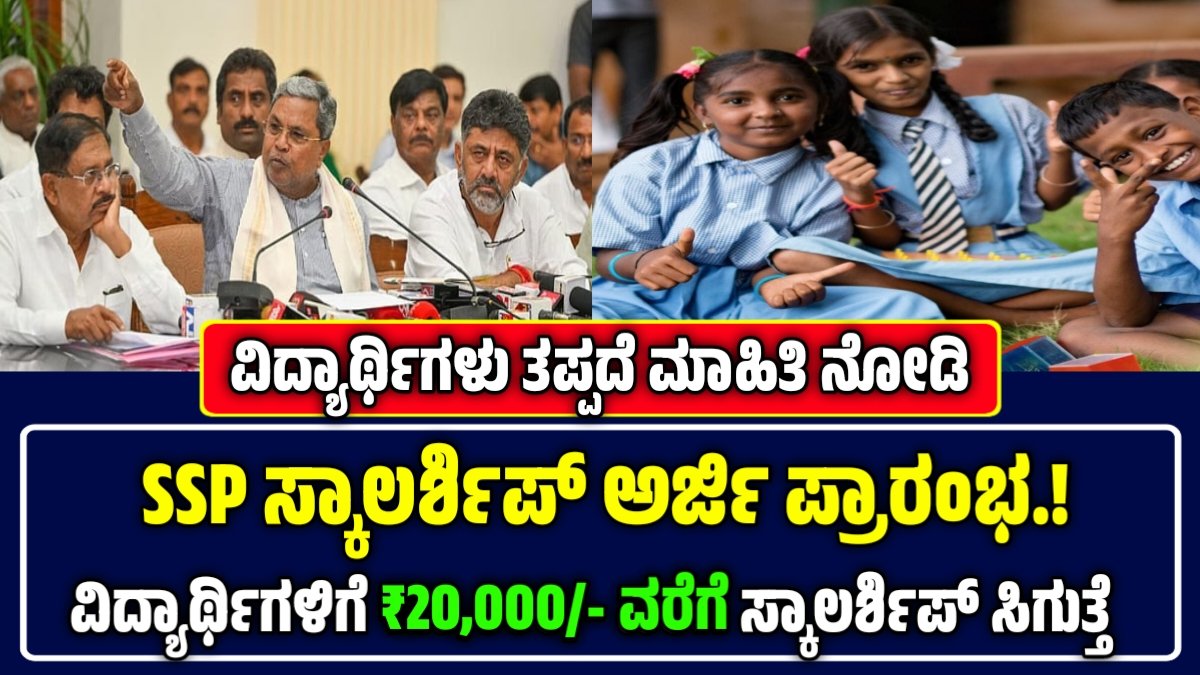 SSP Scholarship Update