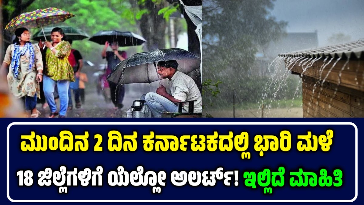 Heavy Rain Alert